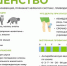 Памятка населению по профилактике бешенства - Володарский район